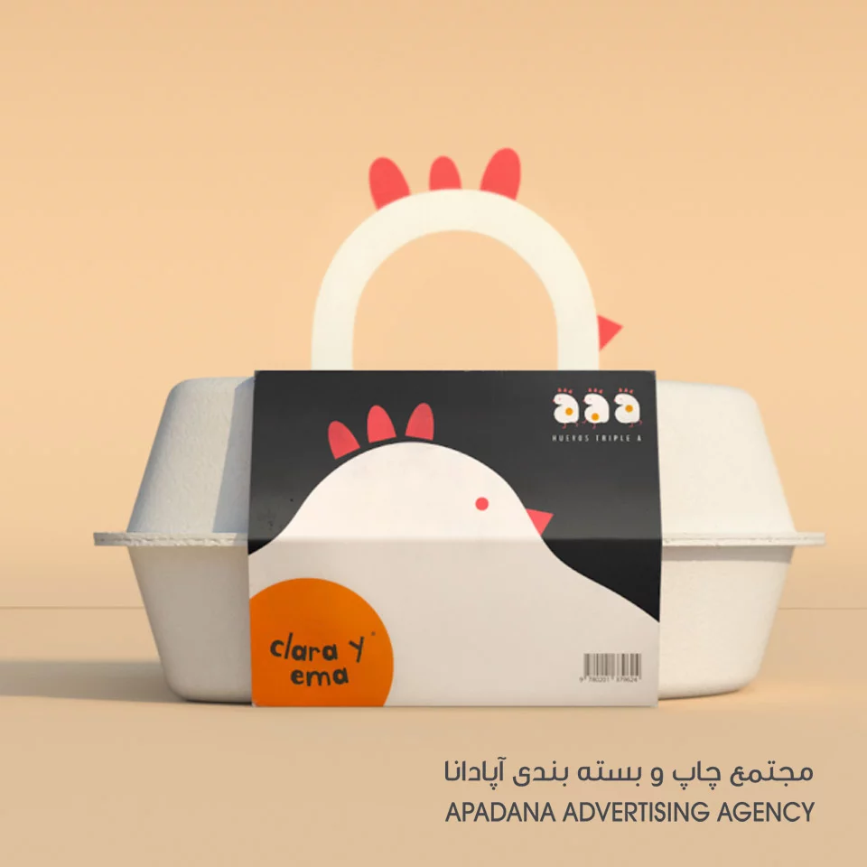 بسته بندی خلاقانه تخم مرغ